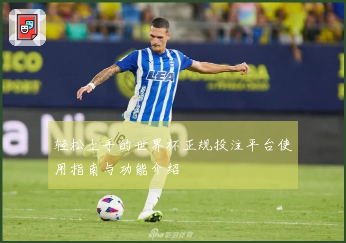 轻松上手的世界杯正规投注平台使用指南与功能介绍