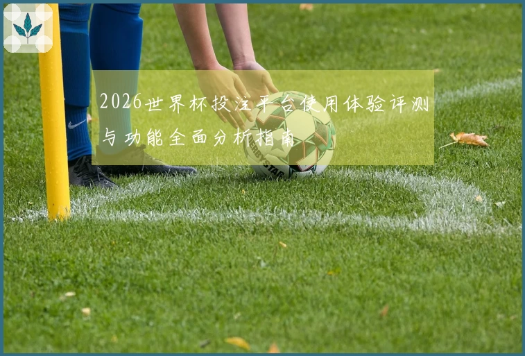 2026世界杯投注平台使用体验评测与功能全面分析指南