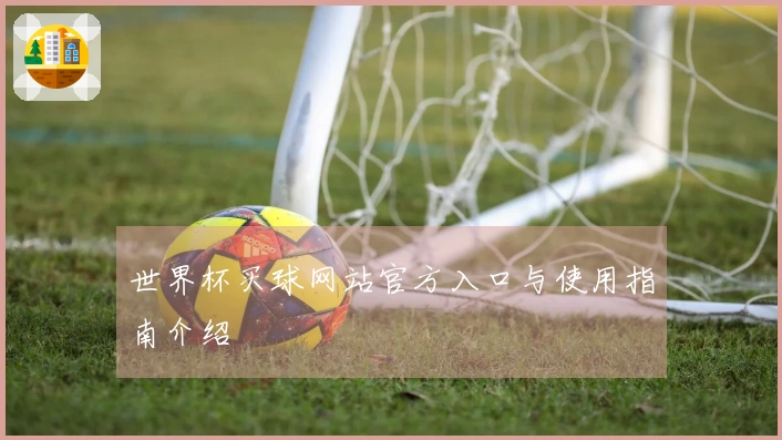 世界杯买球网站官方入口与使用指南介绍