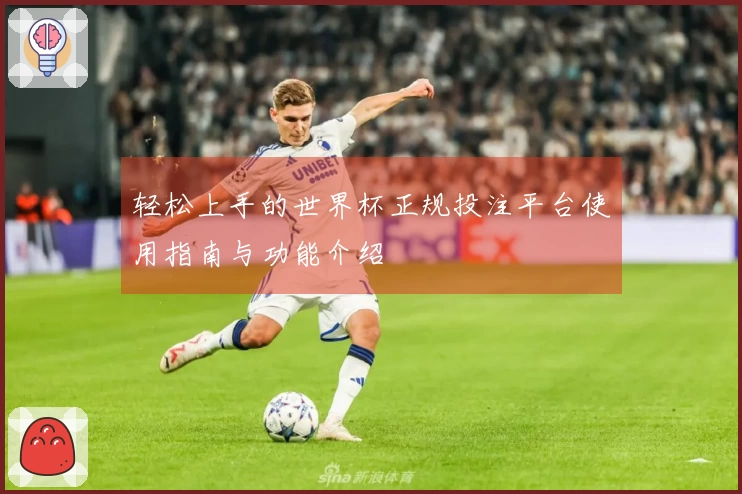 轻松上手的世界杯正规投注平台使用指南与功能介绍